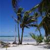 motu sulla laguna blu di Rangiroa POLINESIA FRANCESE 