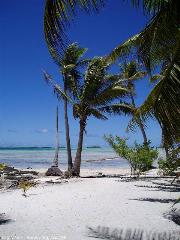 motu sulla laguna blu di Rangiroa