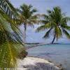 spiaggia di Tikehau POLINESIA FRANCESE 