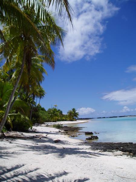 rangiroa - escursione