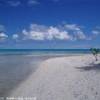  POLINESIA FRANCESE 