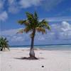tratto di spiaggia a Tikehau POLINESIA FRANCESE 