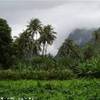 Tahiti POLINESIA FRANCESE 