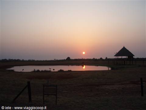 ALBA IN SAVANA