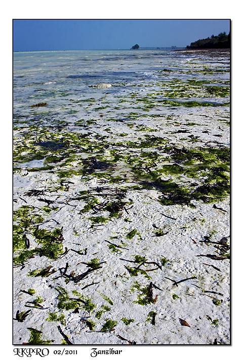dettaglio
