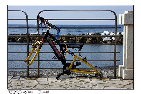 portofino & chiavari