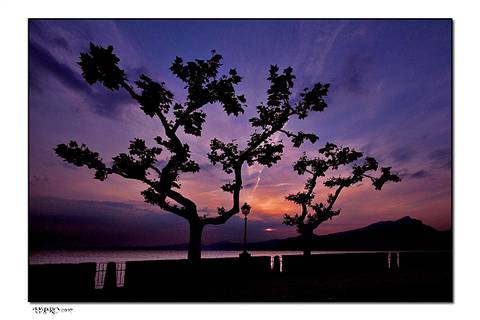 lazise in un click