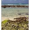 spiaggia REPUBBLICA DOMINICANA 