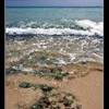 spiaggia REPUBBLICA DOMINICANA 