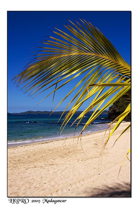 Particolari dal Madagascar