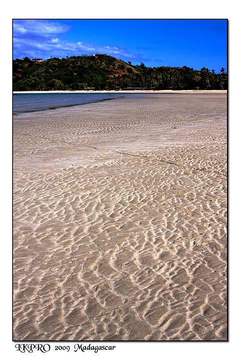 Particolari dal Madagascar