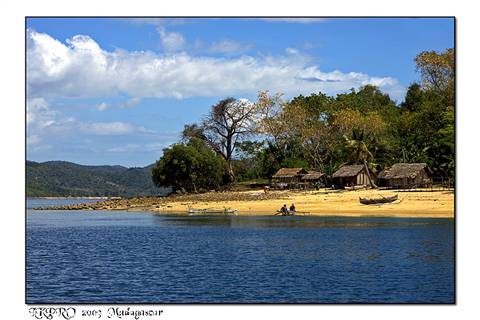 Particolari dal Madagascar