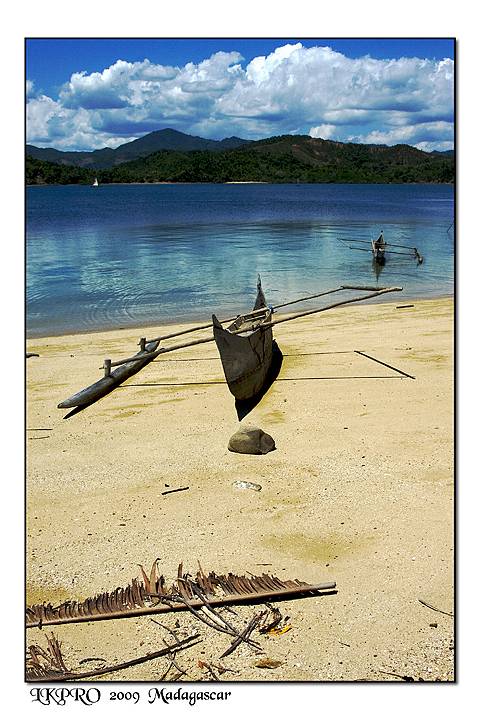 Particolari dal Madagascar