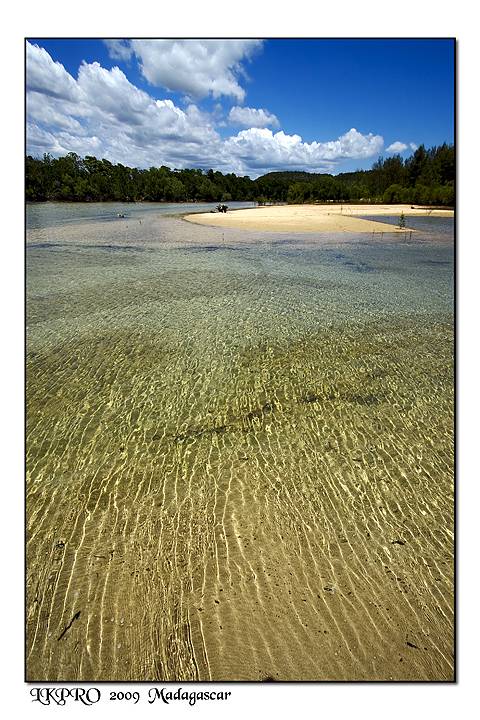 Particolari dal Madagascar