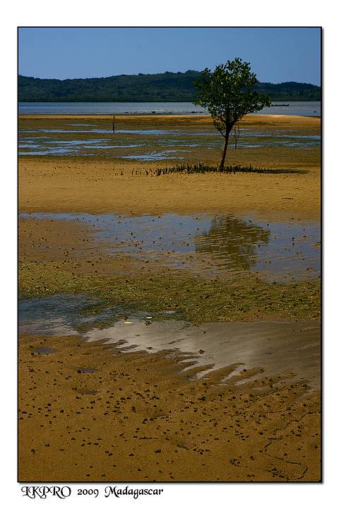 Particolari dal Madagascar