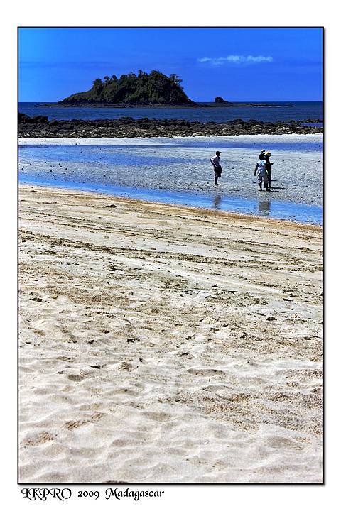 Particolari dal Madagascar