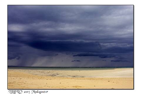 Particolari dal Madagascar