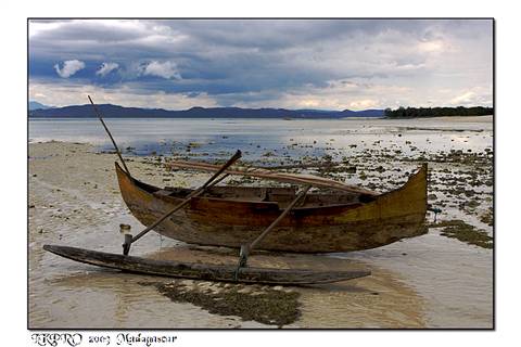 Particolari dal Madagascar