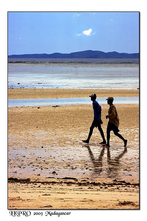 Particolari dal Madagascar
