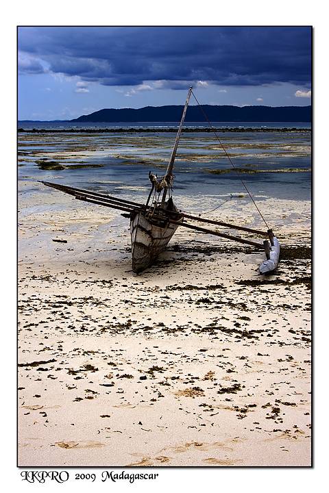 Particolari dal Madagascar