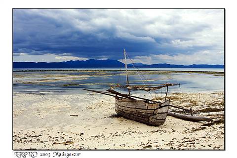 Particolari dal Madagascar