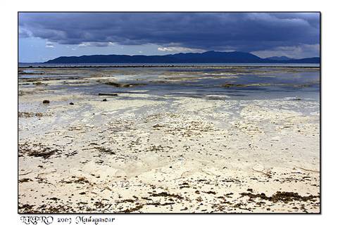 Particolari dal Madagascar