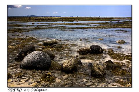 Particolari dal Madagascar