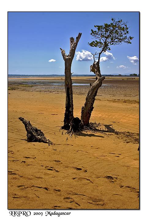 Madagascar