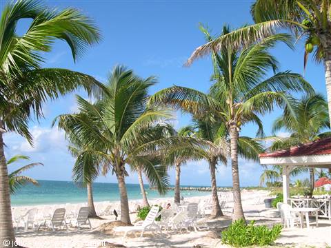 Caraibi forever