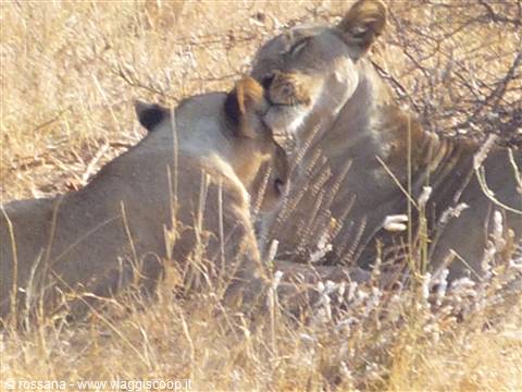 relax