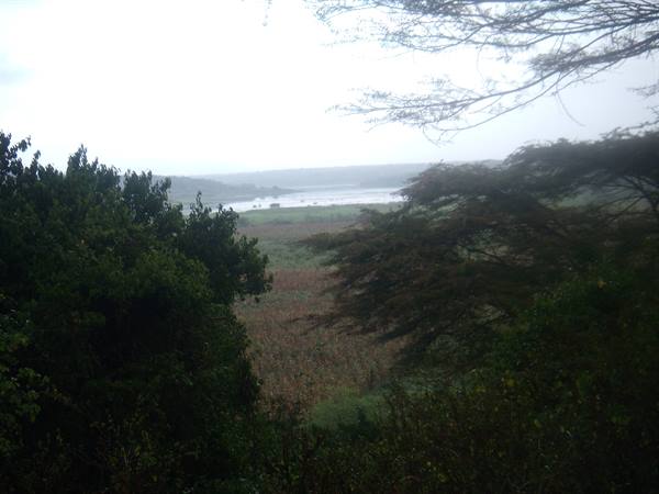 paesaggio