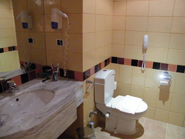 il bagno della camera standard