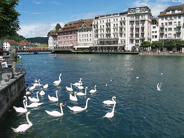 Lucerna