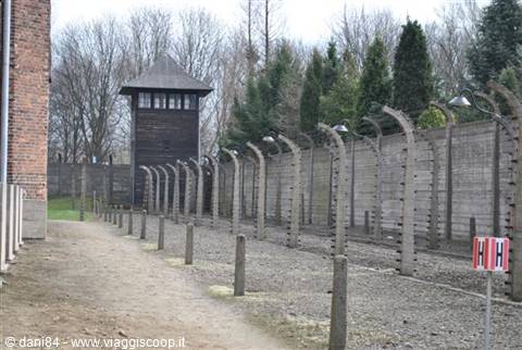 Auschwitz