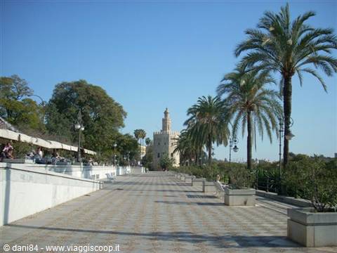 torre dell'oro
