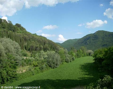 Rieti