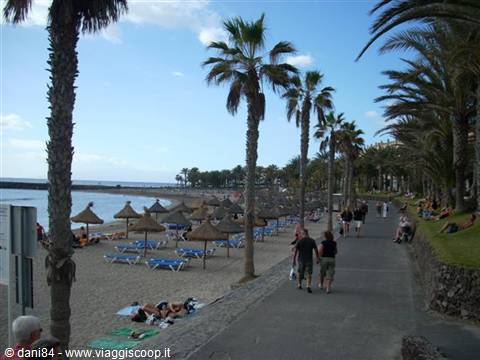 Los cristianos 9 playa del camisòn