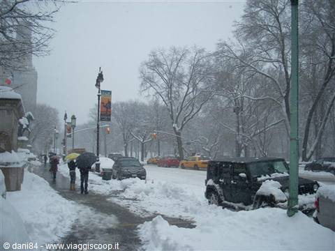 new york