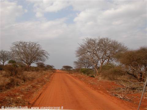 la terra dal colore incantevole del kenya
