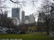 Central Park