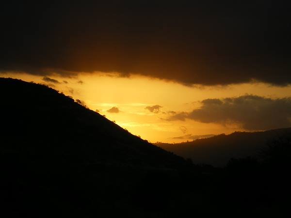 tramonto savana