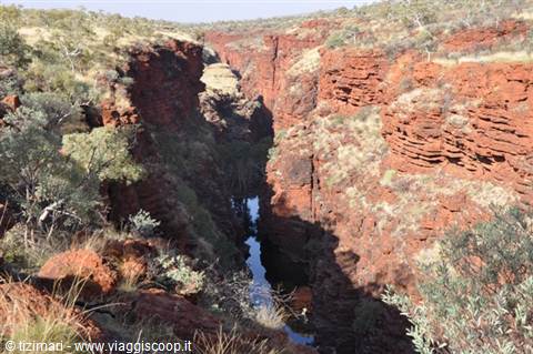 Karinjini NP
