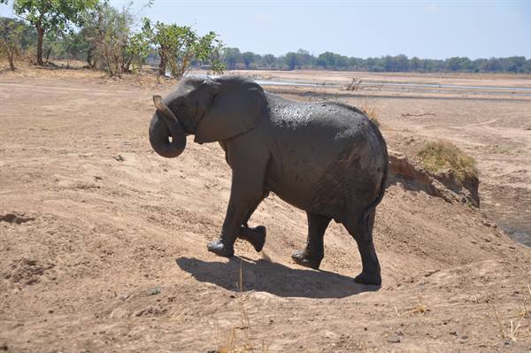 South Lwangwe National Park
