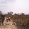 La strada verso Mulongo REPUBBLICA DEMOCRATICA DEL CONGO 