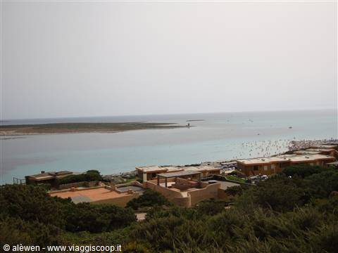 ..Stintino...bellissima spiaggia..