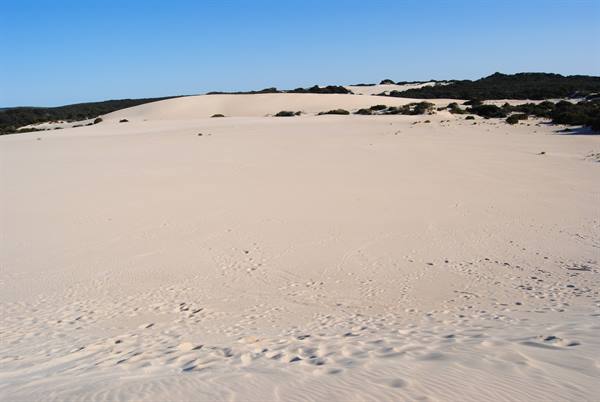 Little Sahara