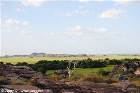 Northern territory