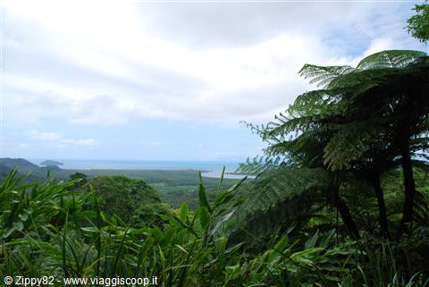 Cape Tribulation