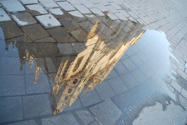 Riflessi viennesi