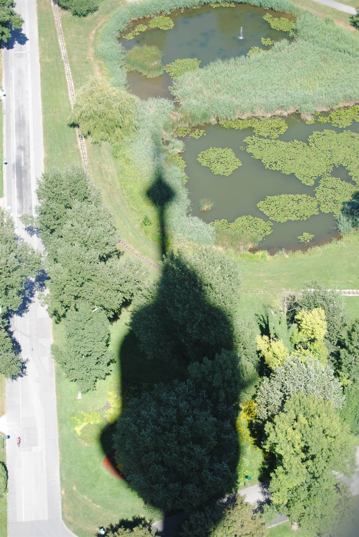 L'ombra della torre si proietta sul parco con laghetto e ninfee